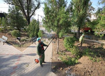 servicii publice iasi parc orasel