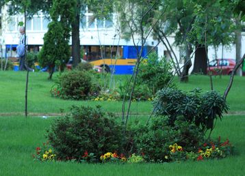 servicii publice iasi amenajare Parcul Bărboi
