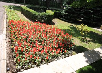 servicii publice iasi Pietonalul Ştefan cel Mare