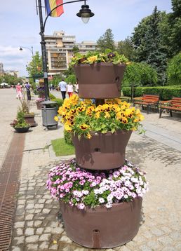 servicii publice iasi Pietonalul Ştefan cel Mare