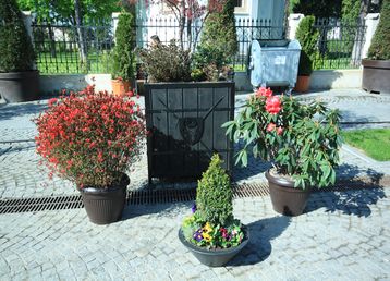 servicii publice iasi Pietonalul Ştefan cel Mare