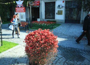 servicii publice iasi Pietonalul Ştefan cel Mare