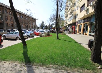 servicii publice iasi pietonal stefan cel mare