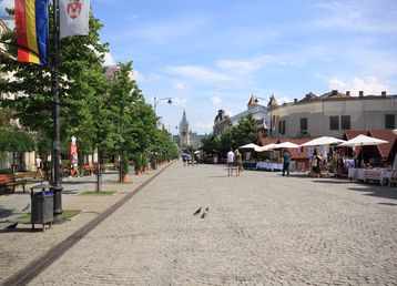 servicii publice iasi pietonal stefan cel mare