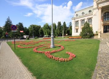 servicii publice iasi pietonal stefan cel mare