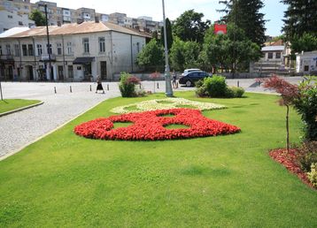 servicii publice iasi pietonal stefan cel mare