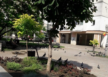 servicii publice iasi - Esplanada Oancea