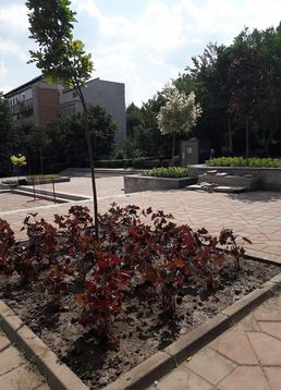 servicii publice iasi Esplanada Oancea