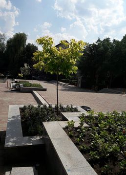 servicii publice iasi Esplanada Oancea