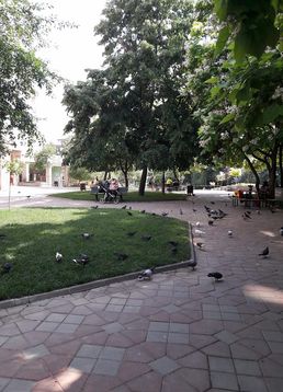 servicii publice iasi Esplanada Oancea