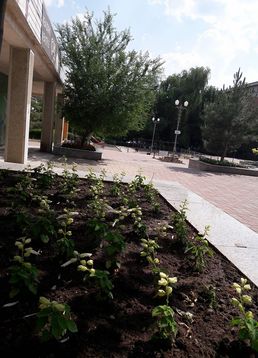 servicii publice iasi Esplanada Oancea