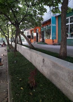 servicii publice iasi Esplanada Oancea