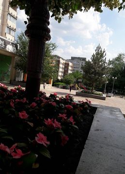 servicii publice iasi Esplanada Oancea