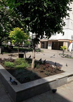 servicii publice iasi Esplanada Oancea
