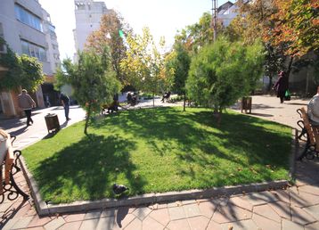 servicii publice iasi Esplanada Oancea