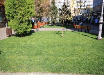 servicii publice iasi Esplanada Oancea