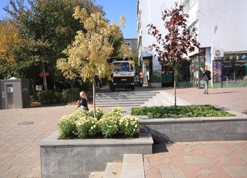 servicii publice iasi Esplanada Oancea
