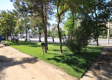 servicii publice iasi zona nicolina si nicolina II