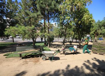 servicii publice iasi zona nicolina si nicolina II