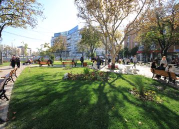 servicii publice iasi podul ros