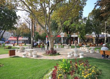 servicii publice iasi podul ros