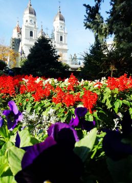 servicii publice iasi hram sf. parascheva