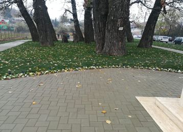 servicii publice iasi plopii fara sot