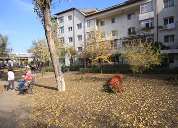 servicii publice iasi alexandru cel bun