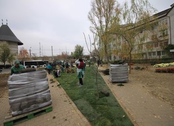 servicii publice iasi alexandru cel bun