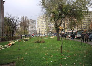 servicii publice iasi alexandru cel bun