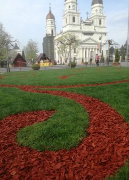 servicii publice iasi primaria iasi
