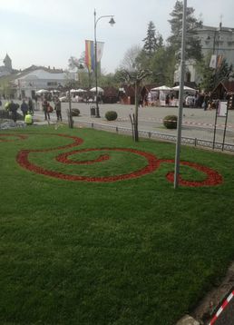 servicii publice iasi primaria iasi