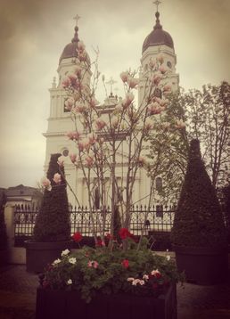 servicii publice iasi primaria iasi
