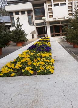 servicii publice iasi copou