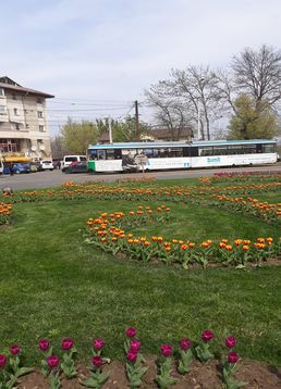 servicii publice iasi copou