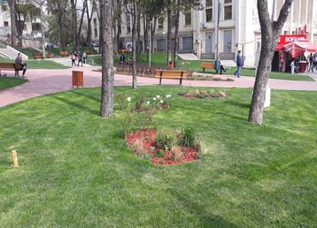 servicii publice iasi copou