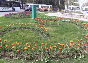 servicii publice iasi copou