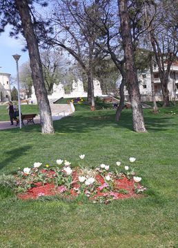 servicii publice iasi copou