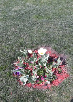 servicii publice iasi copou