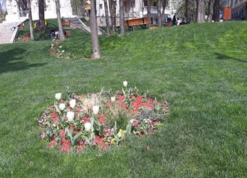 servicii publice iasi copou