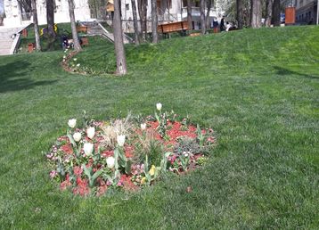 servicii publice iasi copou