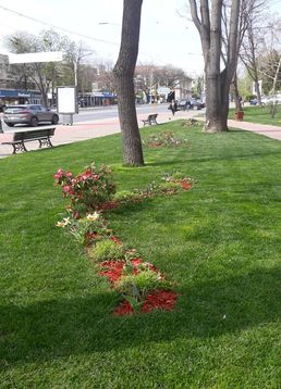 servicii publice iasi copou