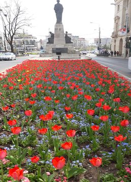 servicii publice iasi copou