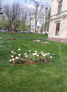 servicii publice iasi copou