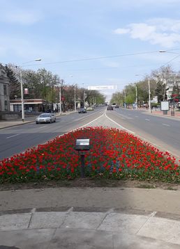 servicii publice iasi copou