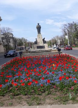 servicii publice iasi copou
