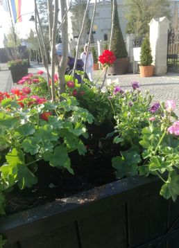 servicii publice iasi copou